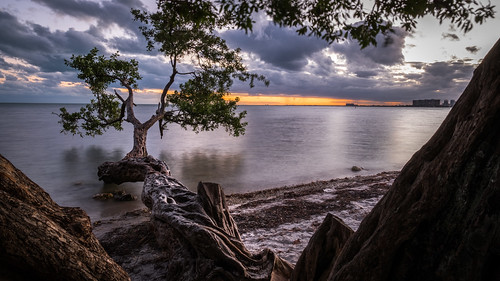 sand calm peaceful nature water orange sea trees beach ocean tree photography fuji sky miami wallart geotagged fineart tranquil prints fujix sunset print sun unitedstates fujifilm florida canvas longexposure photo photograph horizontal beautiful travel landscape skyline yellow xpro2 seascape usa depth clouds fujixpro2 onsale