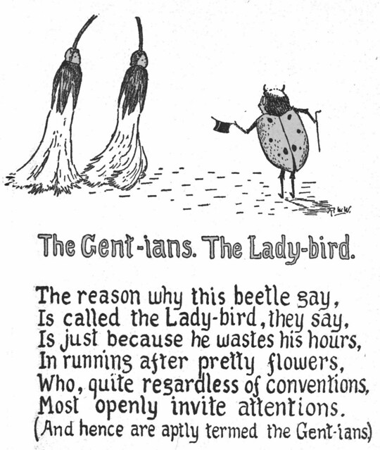 The Gent-ians vs. the Lady-bird by Robert W. Wood
