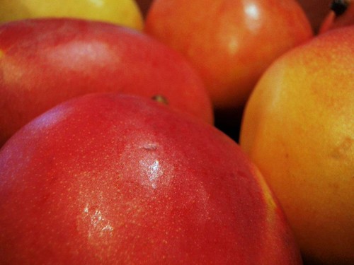 Mangoes | by Hoppo Bumpo (Liesl)