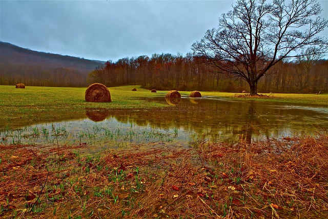 Hay Bales Caught in a Spring Flood