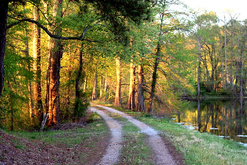 pville plantersvillemiss bordenlake