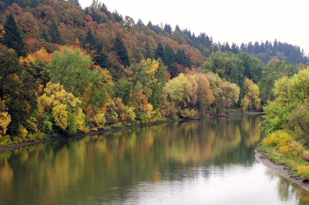 Autumn colors in Ridgefield Washington by SMcD22