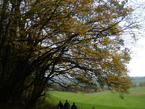 Autumn colours Amersham round walk
