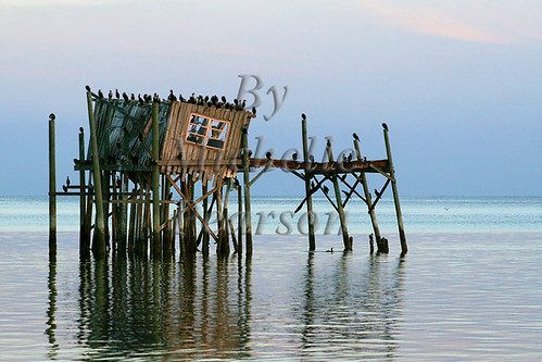 wood old travel blue sunset vacation sky usa house building abandoned tourism home gulfofmexico water buildings wooden fishing ruins gulf florida dusk getaway empty cottage january northamerica shack fl fla cedarkey deteriorated levy goldenhour allrightsreserved bldg 2010 gulfcoast copyrighted honeymoonsuite canonef75300 canoneos30d michellepearson naturecoast thomasguesthouse mickip65 010910 jan012010 20100109 img0031692 01092010