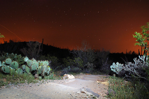 desert path at night by Thee E. Aldriches