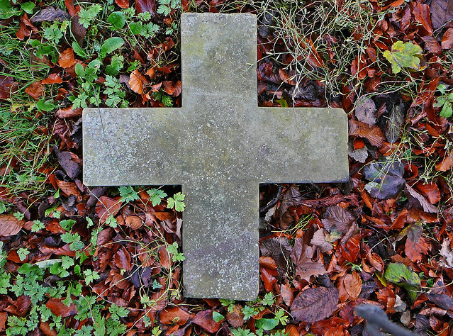 Fallen Cross
