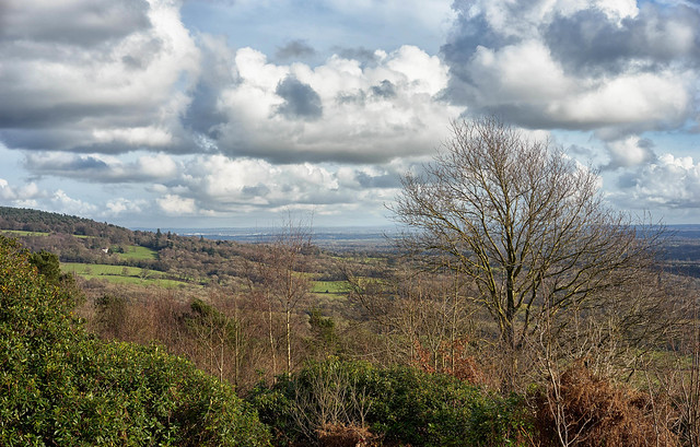 View from Holmbury Hill, Surrey