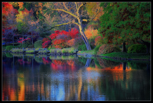Fall Colors by John Langholz