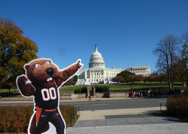 Benny takes on capitol hill