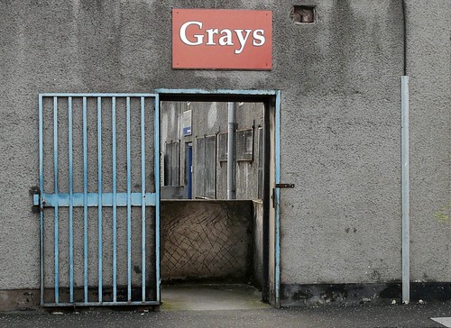 grays by ed ed
