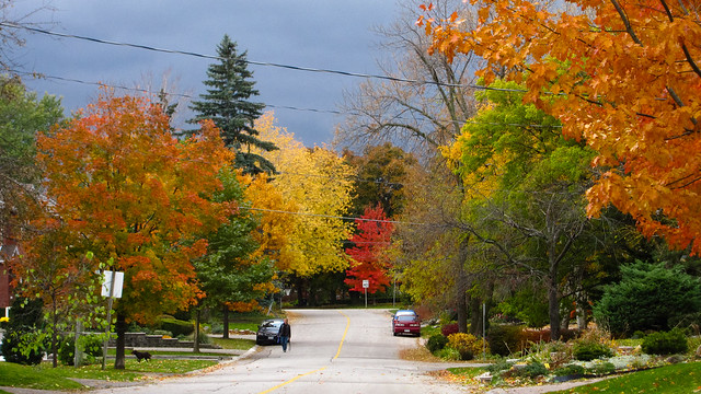 Fall Colors in the Long Branch Village of Etobicoke