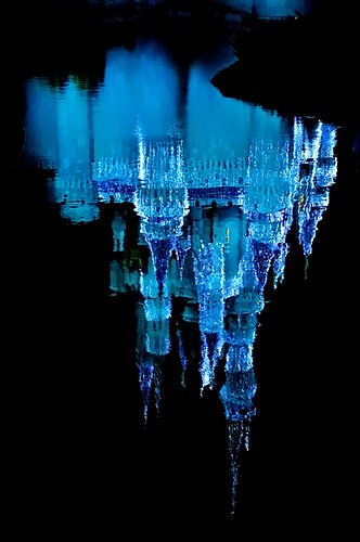 Cinderella Castle Dream Lights - A Reflection (Explored) by Express Monorail