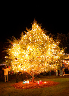 1st Annual Cedar Key Christmas Tree Lighting Ceremony | Flickr