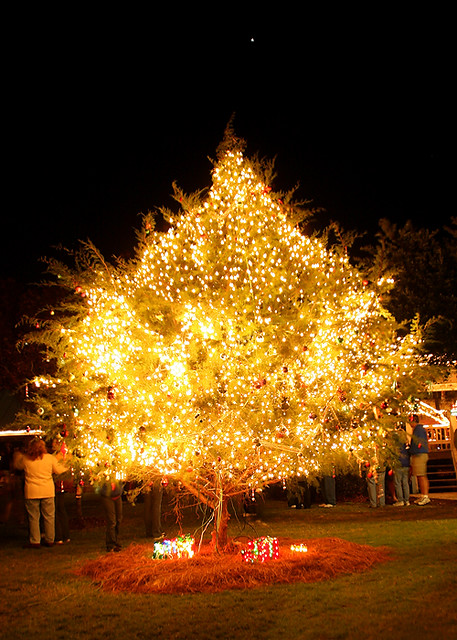 1st Annual Cedar Key Christmas Tree Lighting Ceremony