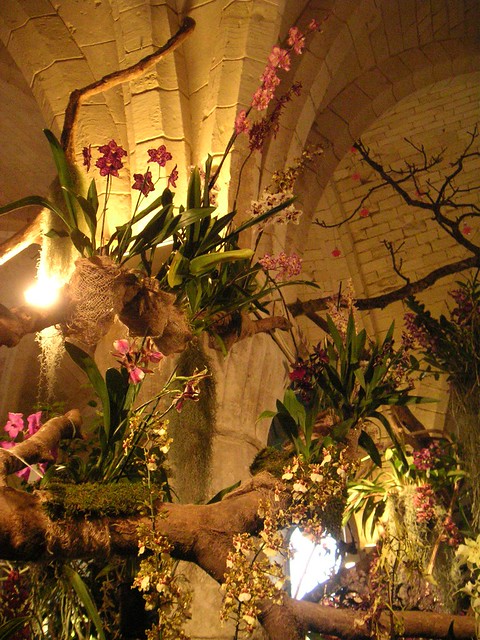 orchidées expo à l'abbaye de Vaucelles