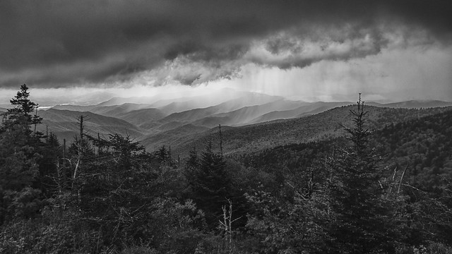 Storm on Clingman's Dome