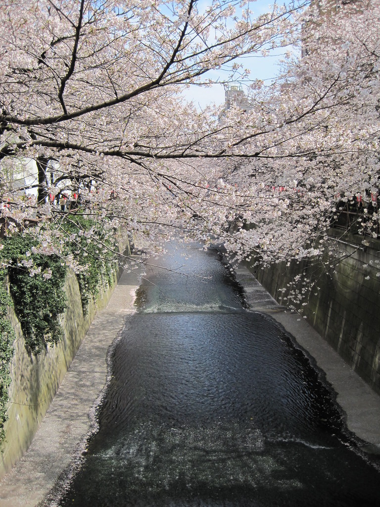IMG_0008 | Atsushi Nakamura | Flickr