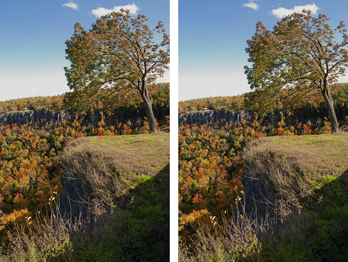 park autumn ny color fall leaves photography stereoscopic 3d crosseye crosseyed cross stereo handheld chacha depth thatcher 3dimensional thatcherpark crossview crosseyedstereo 3dphotography 3dstereo viewstereoscopic