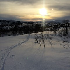Fint skiføre på Holmvassåsen i  Grane kommune Foto: Lars Lorentzen