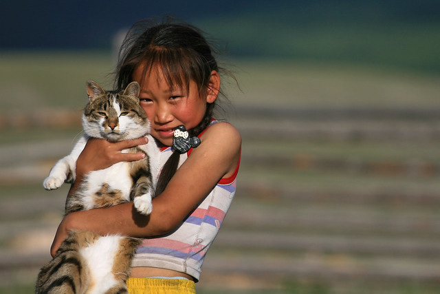 Girl with a cat - 2