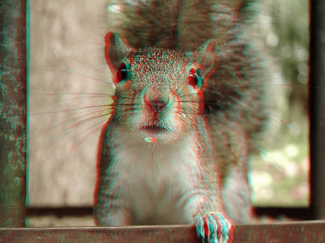 Squirrel /2D to 3D Conversion/