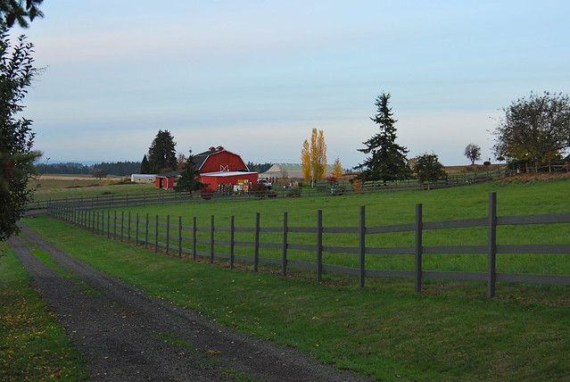 Late Autumn Afternoon in Oregon