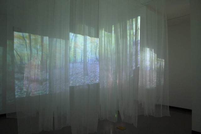 Forest, by Joonhee Park, 2010 (A New Media, Video Installation).
