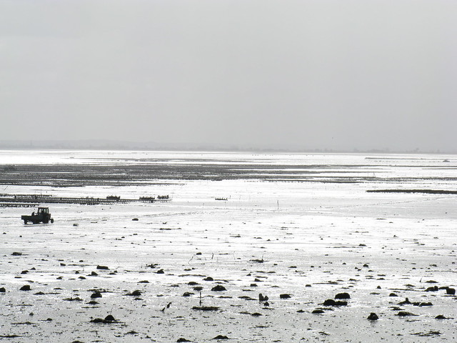 CANCALE (low tide)