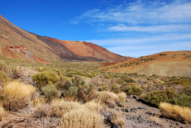 Teide National Park (Tenerife)