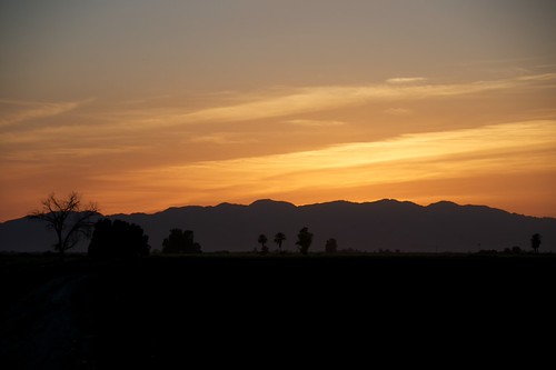 _DSC7613 by jon_coyne,