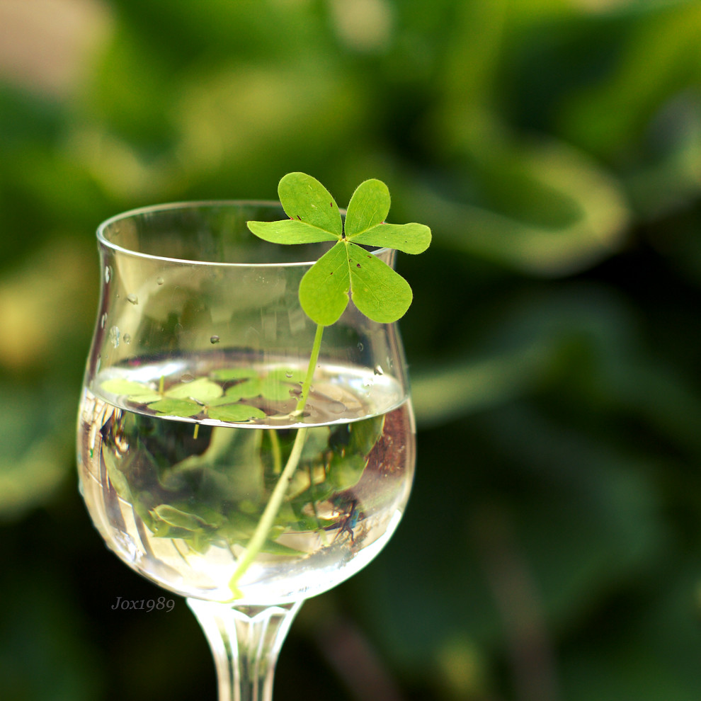 St Patrick's Day
