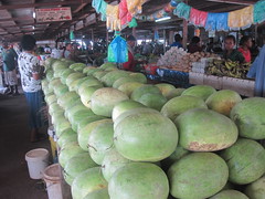 Viti Levu 03 - Tavua market, watermelons are in season