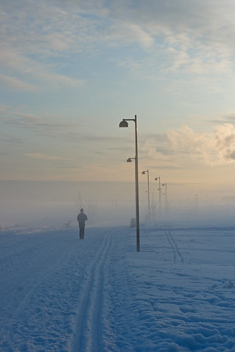 winter mist by s.autio