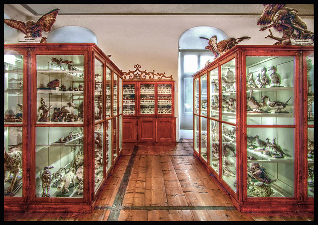 Natural History Museum in Admont in HDR