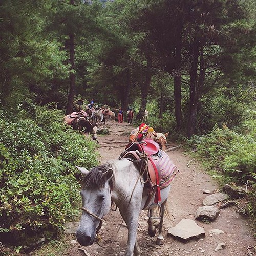 On the way to Tigers Nest #paro#bhutan#tigersnest | by Farhan619