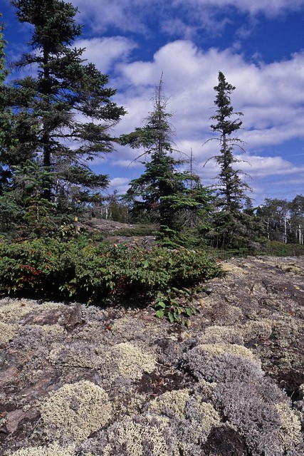 Greenstone Ridge in Isle Royale National Park