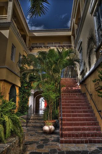 Palmtree and Staircase by Bonuel