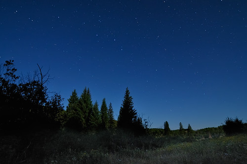 mountains nature night forest stars landscape star nikon colorado nightscape searchthebest astrophotography co astronomy bigdipper 2010 d300 starscape clff elkheadmountains nwco