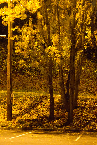 november 50mm noflash 2009 ef50mmf18ii manualmode iso6400 geocity camera:make=canon exif:make=canon exif:focal_length=50mm canoneos7d selfrating0stars exif:iso_speed=6400 130secatf18 november142009 geostate geocountrys exif:lens=ef50mmf18ii camera:model=canoneos7d exif:model=canoneos7d exif:aperture=ƒ18 subjectdistanceunknown geo:lat=47590889651584 geo:lon=12222440223155 47°3527n122°1328w