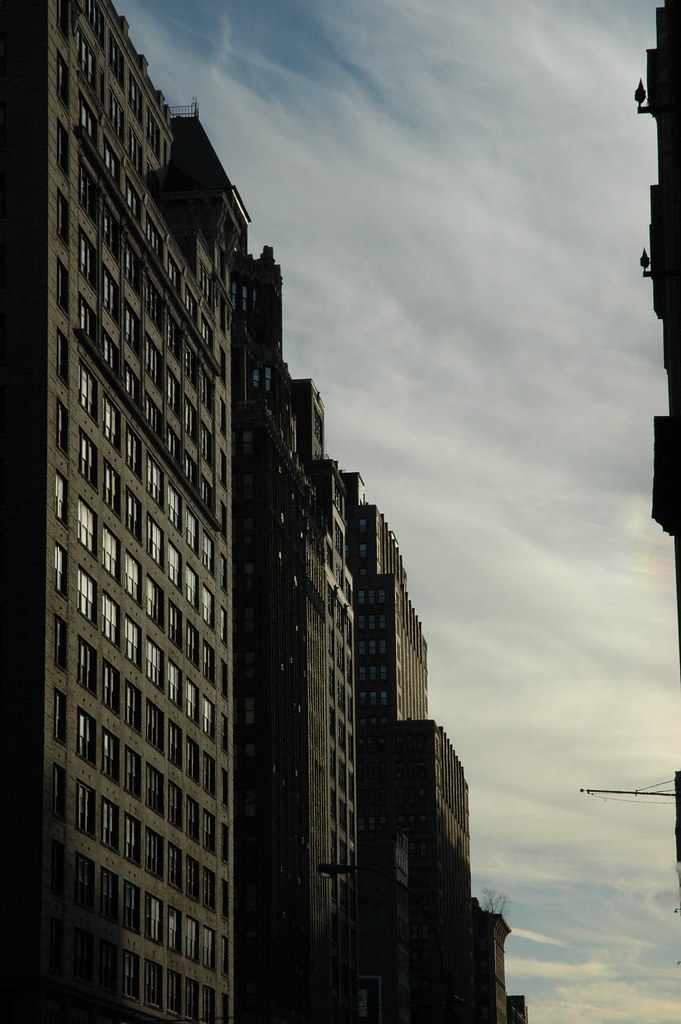 DSC_0252