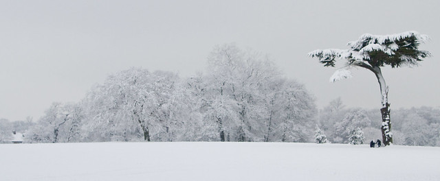 Cassiobury Park in the Snow