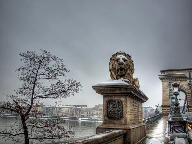The Chain Bridge - Budapest