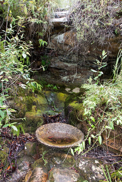 Secluded water feature
