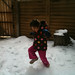 Sami playing in snow