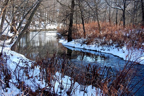winter upstatenewyork schenevusny edbrodzinsky borstfield schenevuscreek