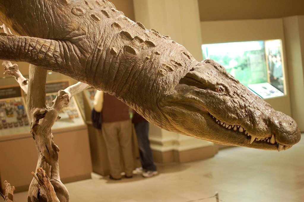 Prehistoric Crocodile by Scott Michaels