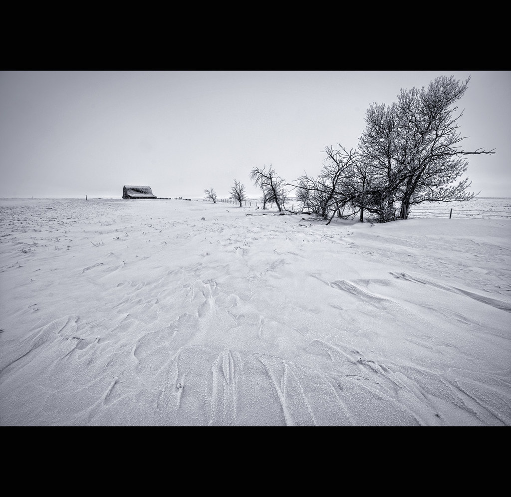 Prairie Winter by Ernie Fischhofer