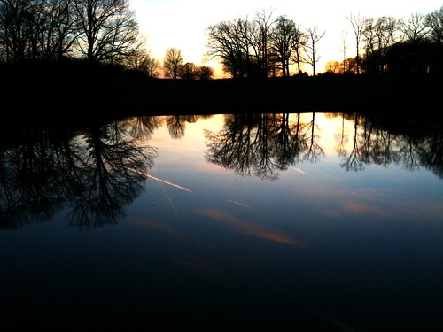 sunset reflections pond iphone