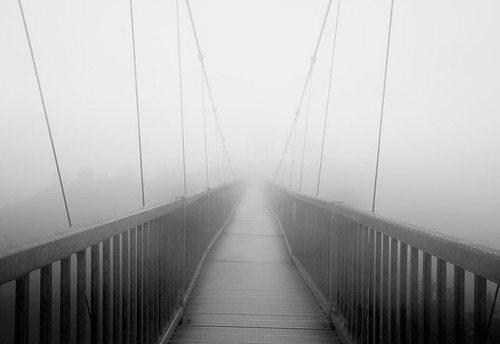 Up on the Grandfather: Mile-High Swinging Bridge by Rob Travis