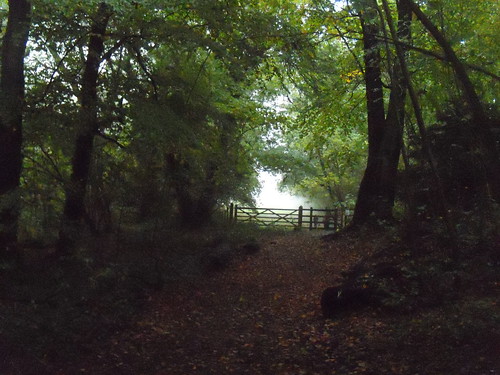 Misty gate Otford Round Walk